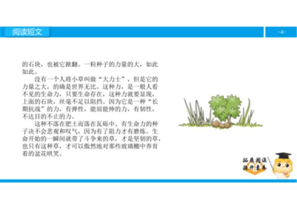 野草好词好句