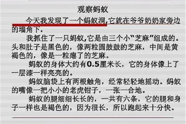 四年级优秀日记