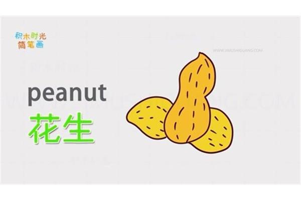 花生的英语