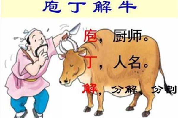 成语庖丁解牛