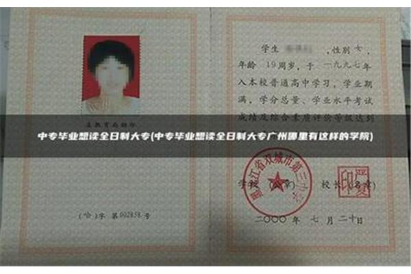 中专和大专的区别