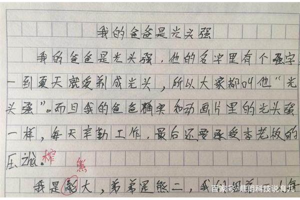 爸爸的作文