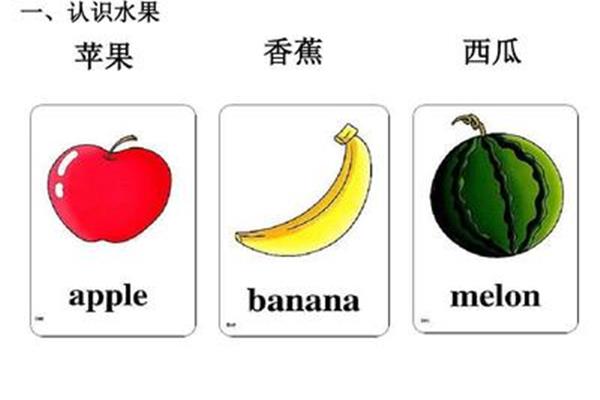 西瓜的英语怎么写