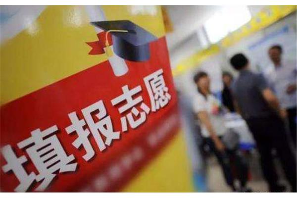 今年什么时候高考