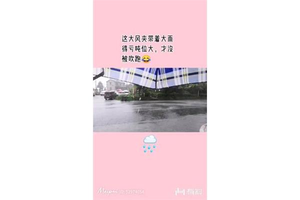 雨好像停了
