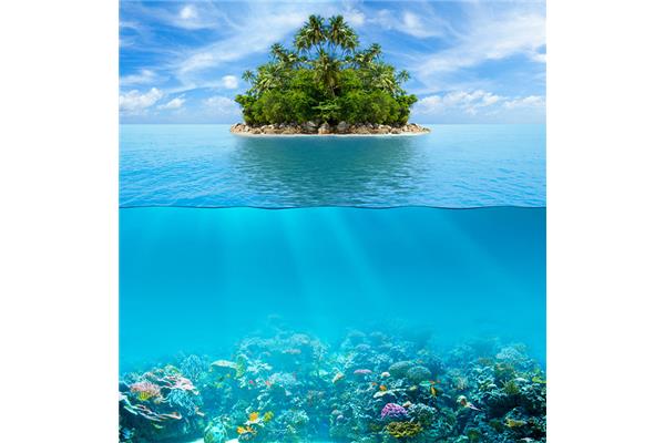 美丽的海底世界