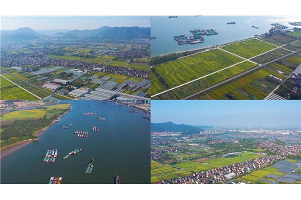富阳新沙岛