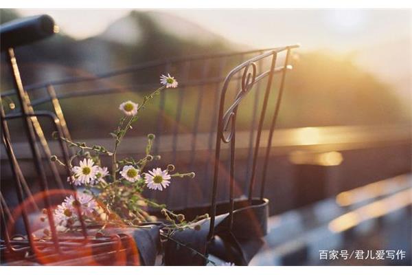 怀念的图片唯美