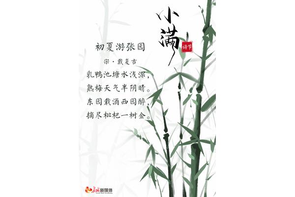 晚春的诗句