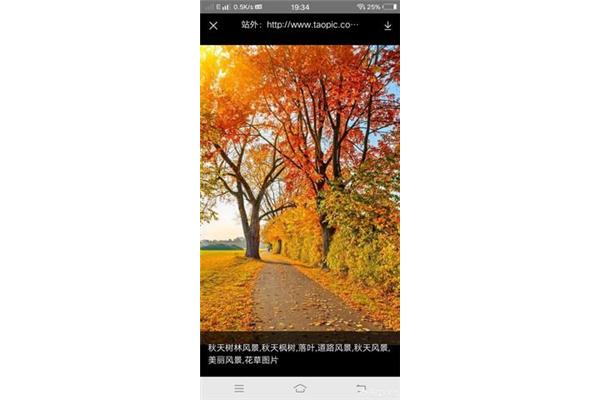 秋天是什么样的