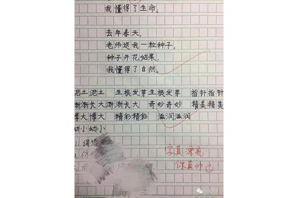 语文作业评语