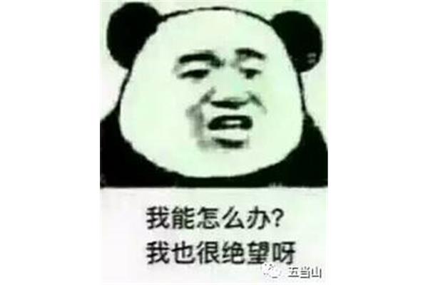 有时我也想