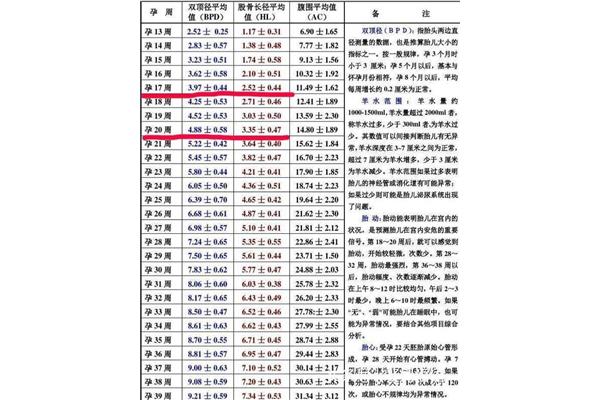 胎儿发育指标