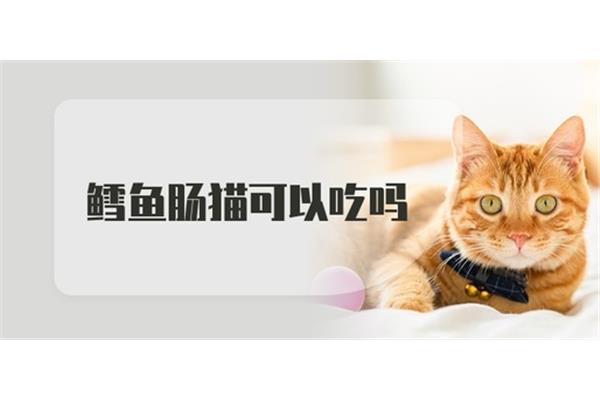猫能吃鳕鱼肠吗