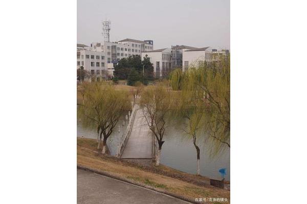 合肥的大学