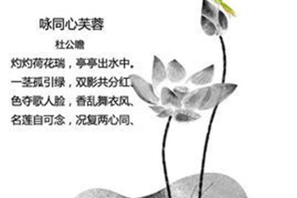 关于荷花诗句