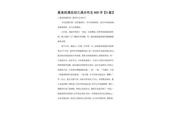 最美的遇见作文