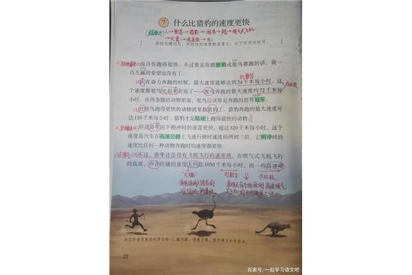 什么比什么