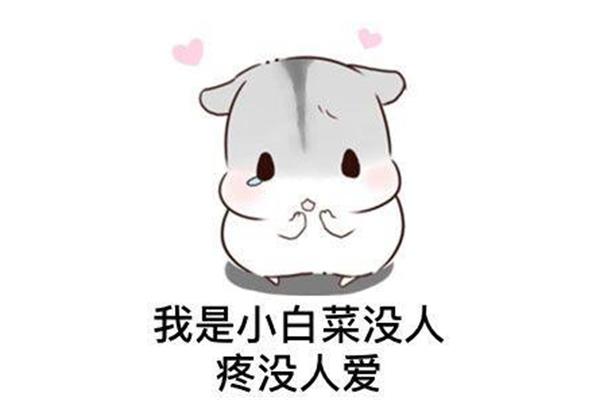 可怜没人爱