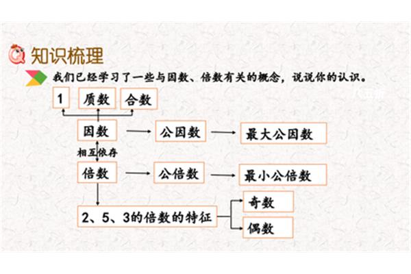 公因数的概念