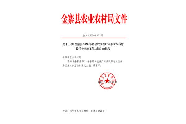 总结的格式