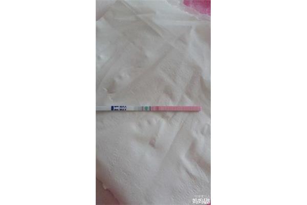 怀孕怎么测出来