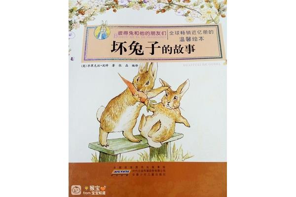 有关兔子的故事