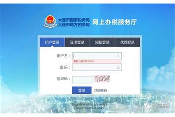 大连国税网