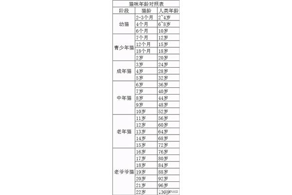 年龄的龄怎么写
