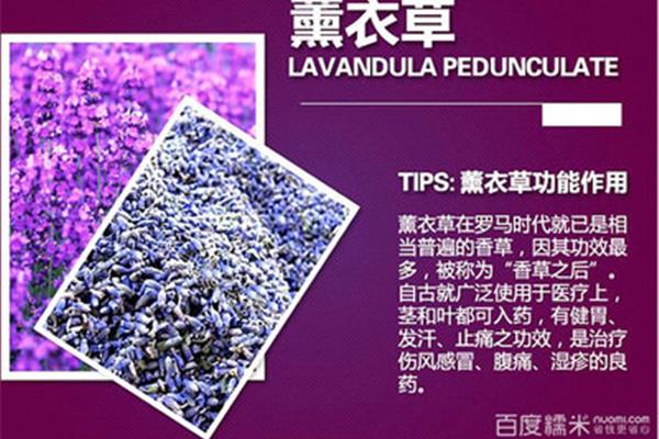 薰衣草的功效
