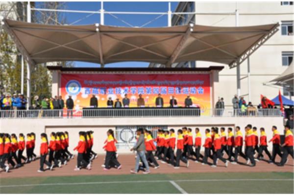 职业技术学院