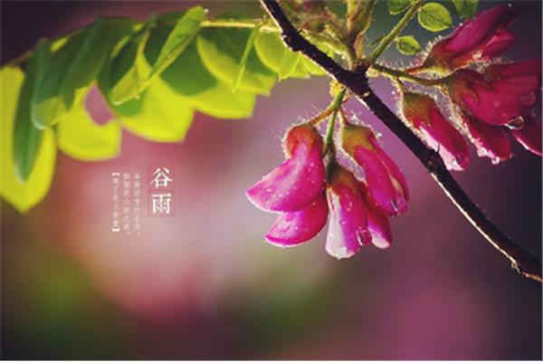 三月诗句经典