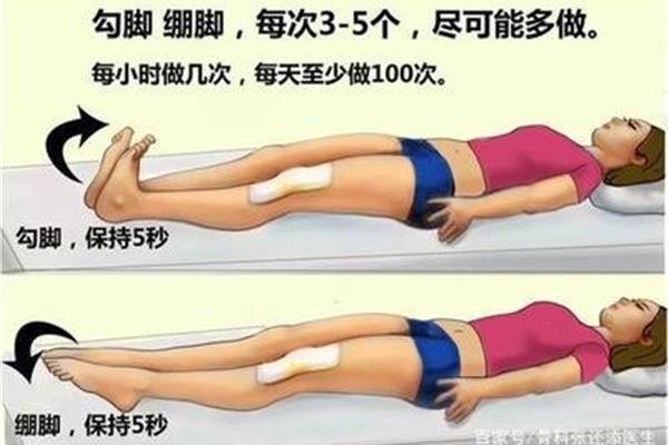 股四头肌的作用