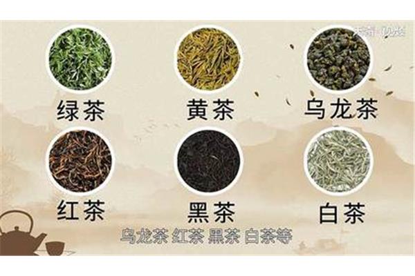茶叶的种类和功效
