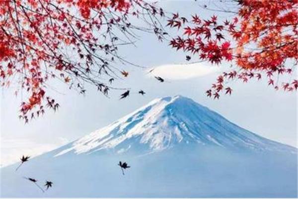山有多高