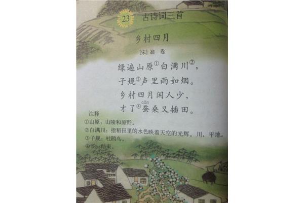 乡村的诗句