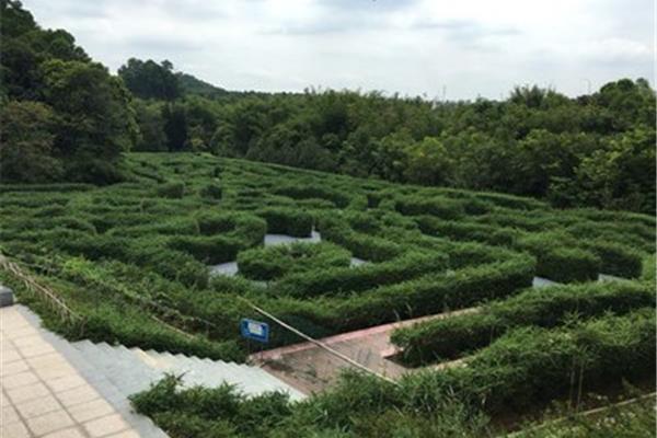 大屏障森林公园