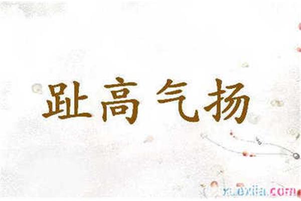 扬字开头的成语