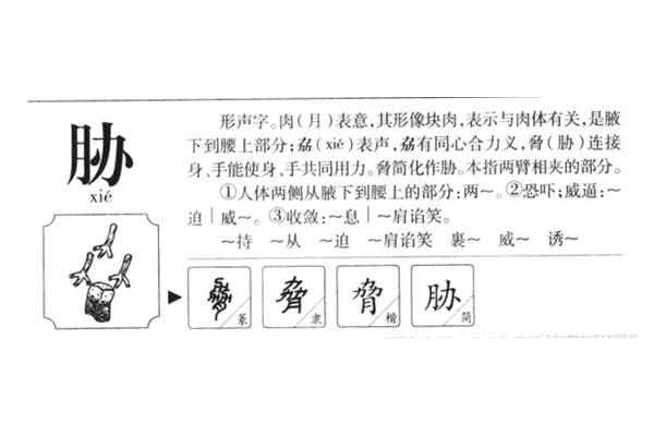 胁怎么组词