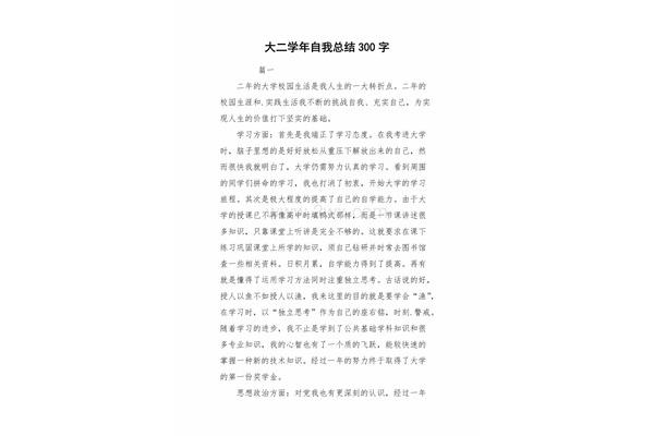 自我总结300字
