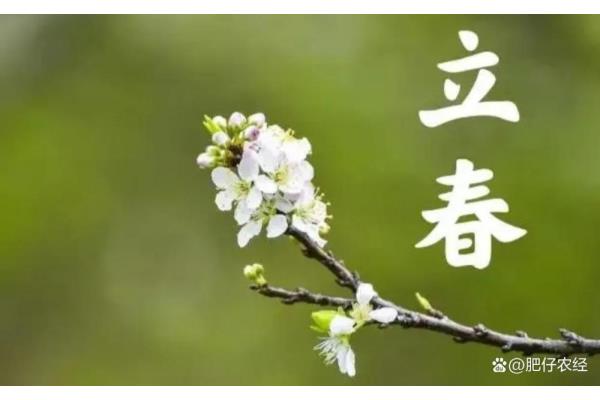 立春是什么时候