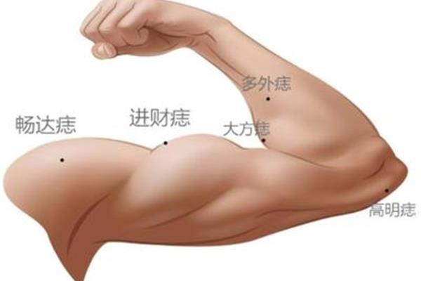 什么的胳膊