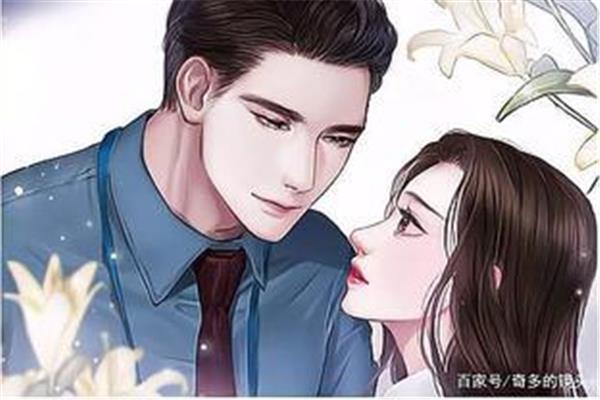 老婆的情人小说