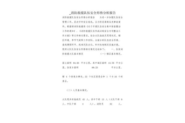 安全形势分析报告