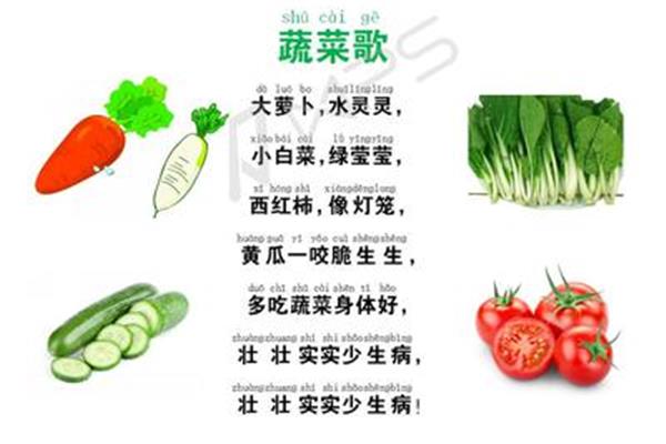 蔬菜歌儿歌