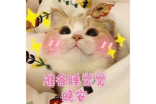 晚安表情包可爱