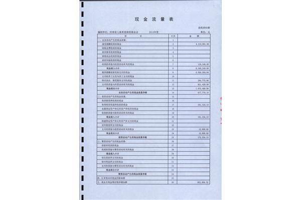 财务审计报告模板