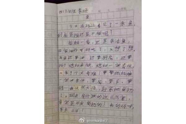 爱国的作文