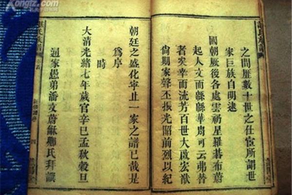 谌氏很大的官